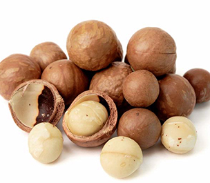 Macadamia Nut Production