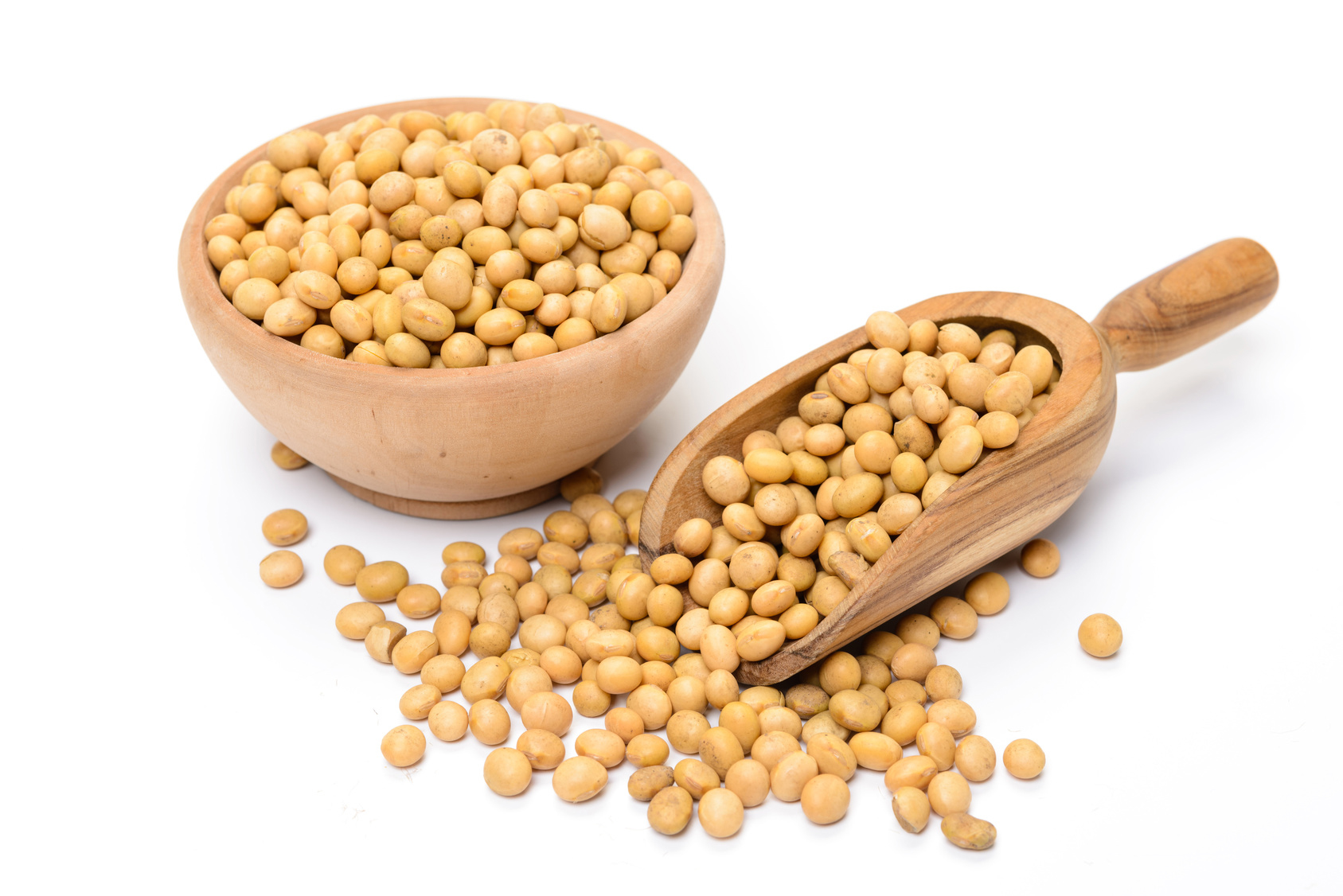 USES OF SOYBEAN
